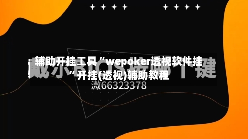 辅助开挂工具“wepoker透视软件挂	”开挂(透视)辅助教程-第1张图片