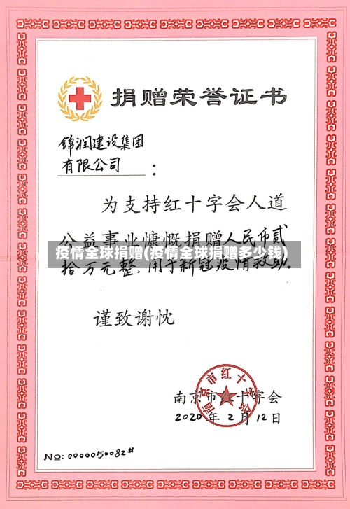 疫情全球捐赠(疫情全球捐赠多少钱)-第2张图片