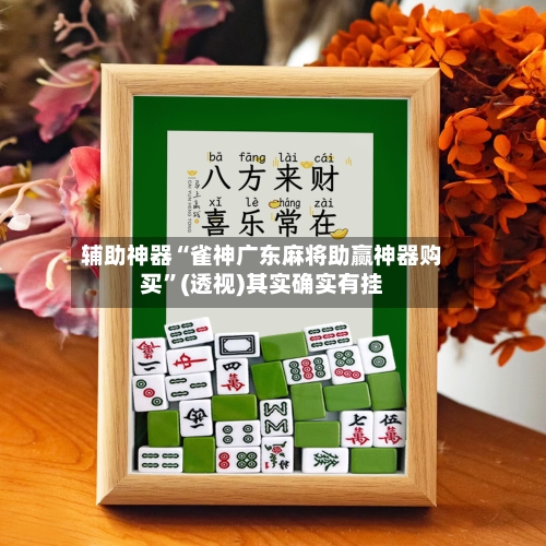 辅助神器“雀神广东麻将助赢神器购买	”(透视)其实确实有挂-第2张图片