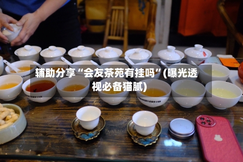 辅助分享“会友茶苑有挂吗”(曝光透视必备猫腻)-第1张图片