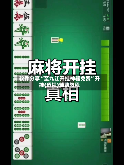 软件分享“至九江开挂神器免费”开挂(透视)辅助教程-第3张图片