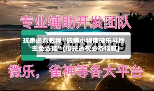 玩家必看教程“微信小程序微乐斗地主免费挂”(曝光透视必备猫腻)-第3张图片