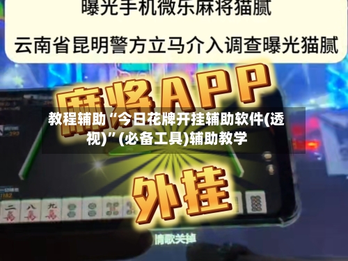 教程辅助“今日花牌开挂辅助软件(透视)	”(必备工具)辅助教学-第2张图片