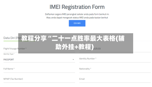 教程分享“二十一点胜率最大表格(辅助外挂+教程)-第2张图片