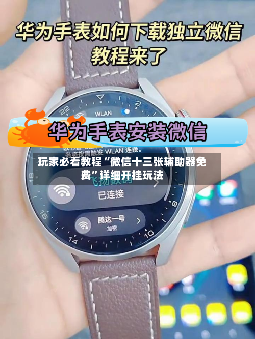 玩家必看教程“微信十三张辅助器免费”详细开挂玩法-第3张图片