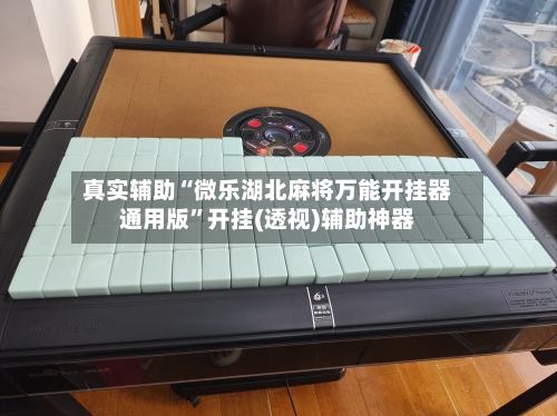 真实辅助“微乐湖北麻将万能开挂器通用版”开挂(透视)辅助神器-第3张图片