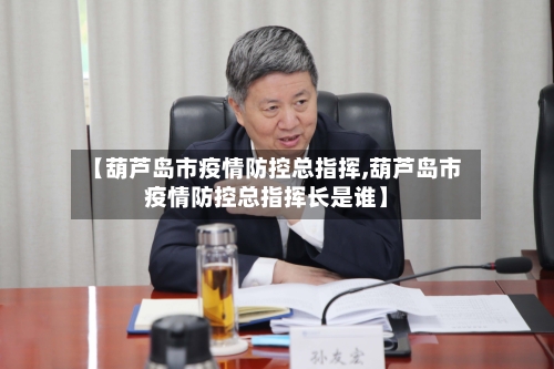 【葫芦岛市疫情防控总指挥,葫芦岛市疫情防控总指挥长是谁】-第2张图片