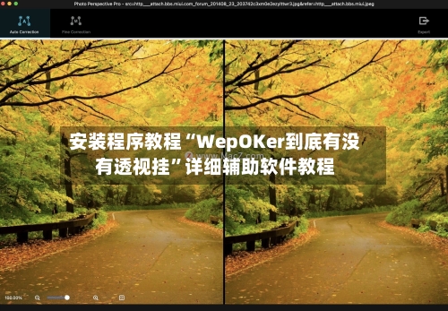 安装程序教程“WepOKer到底有没有透视挂”详细辅助软件教程-第1张图片
