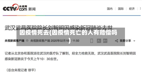 因疫情死去(因疫情死亡的人有赔偿吗)-第1张图片