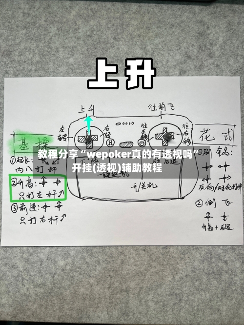教程分享“wepoker真的有透视吗”开挂(透视)辅助教程-第1张图片