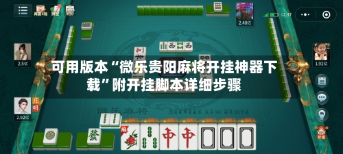 可用版本“微乐贵阳麻将开挂神器下载”附开挂脚本详细步骤-第2张图片