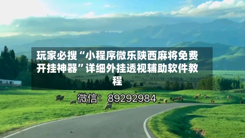 玩家必搜“小程序微乐陕西麻将免费开挂神器”详细外挂透视辅助软件教程-第1张图片