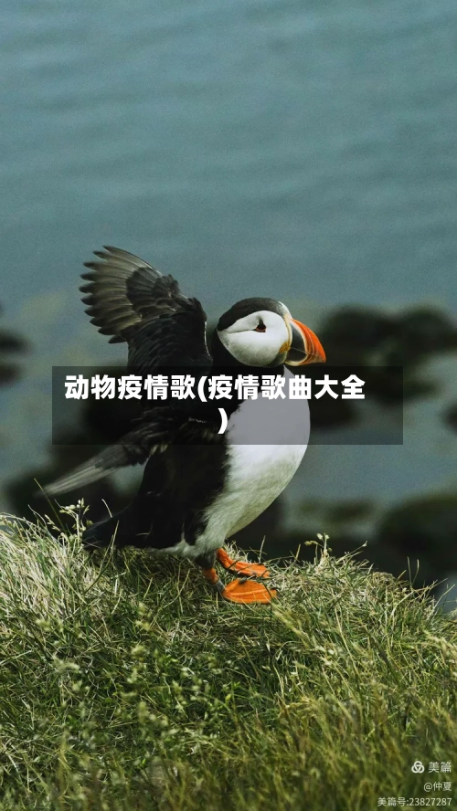 动物疫情歌(疫情歌曲大全)-第1张图片