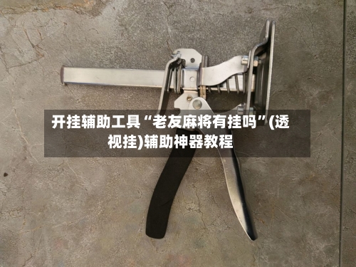 开挂辅助工具“老友麻将有挂吗	”(透视挂)辅助神器教程-第3张图片