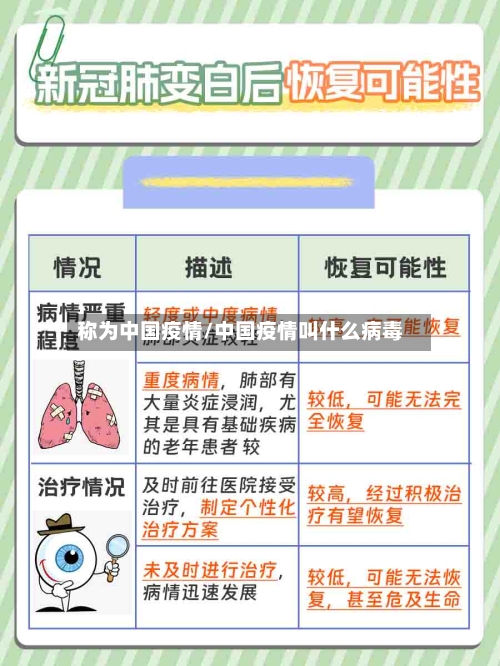 称为中国疫情/中国疫情叫什么病毒-第3张图片