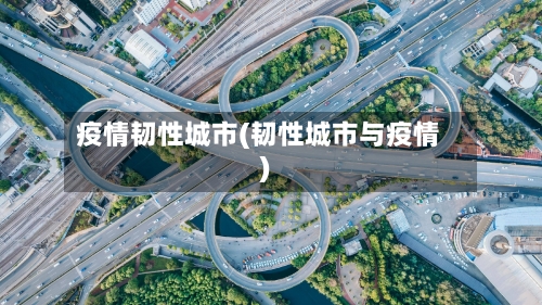疫情韧性城市(韧性城市与疫情)-第2张图片
