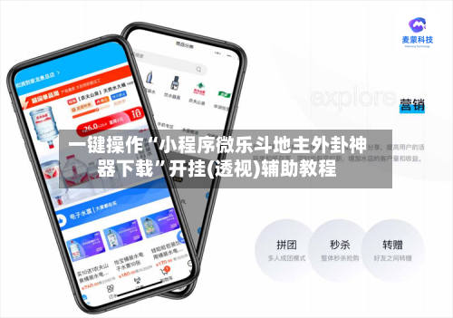 一键操作“小程序微乐斗地主外卦神器下载”开挂(透视)辅助教程-第3张图片