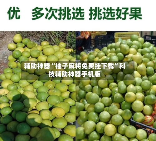 辅助神器“柚子麻将免费挂下载”科技辅助神器手机版-第1张图片