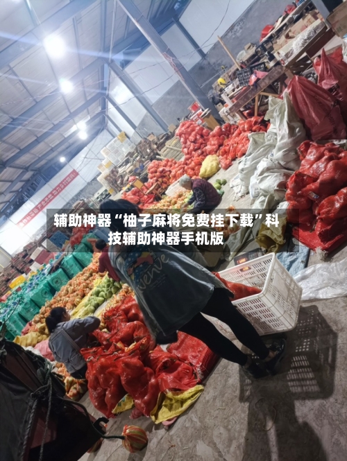 辅助神器“柚子麻将免费挂下载”科技辅助神器手机版-第2张图片