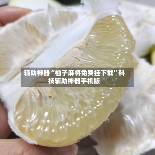 辅助神器“柚子麻将免费挂下载	”科技辅助神器手机版-第3张图片