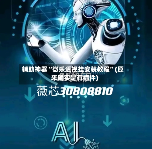 辅助神器“微乐透视挂安装教程”(原来确实是有插件)-第3张图片