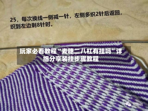 玩家必看教程“麦穗二八杠有挂吗”详细分享装挂步骤教程-第1张图片