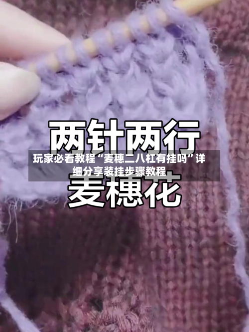 玩家必看教程“麦穗二八杠有挂吗	”详细分享装挂步骤教程-第3张图片