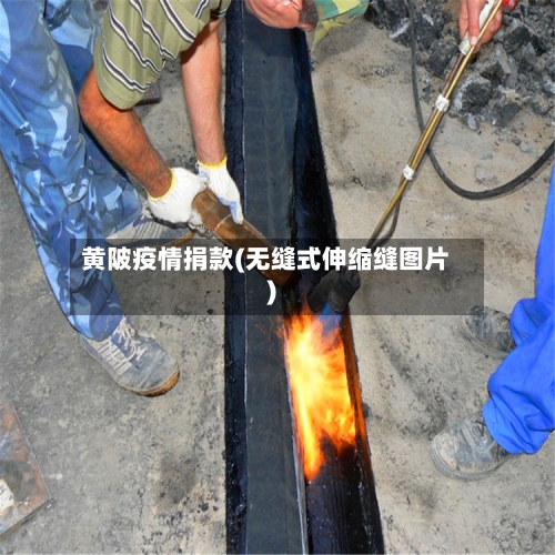 黄陂疫情捐款(无缝式伸缩缝图片)-第2张图片