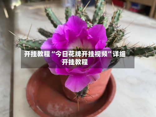 开挂教程“今日花牌开挂视频”详细开挂教程-第1张图片