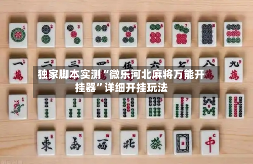 独家脚本实测“微乐河北麻将万能开挂器”详细开挂玩法-第1张图片