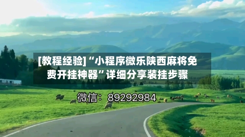 [教程经验]“小程序微乐陕西麻将免费开挂神器”详细分享装挂步骤-第2张图片