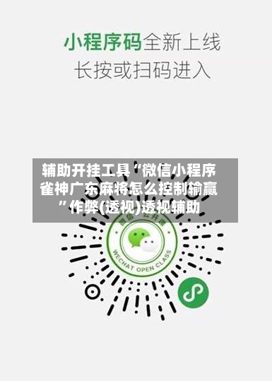 辅助开挂工具“微信小程序雀神广东麻将怎么控制输赢	”作弊(透视)透视辅助-第2张图片