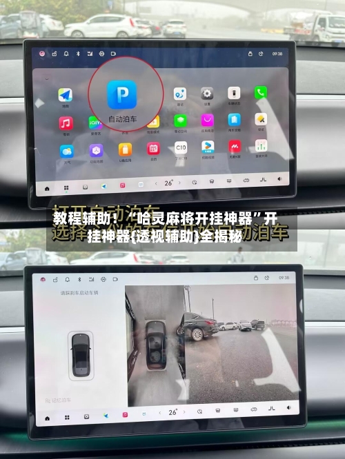 教程辅助！“哈灵麻将开挂神器”开挂神器{透视辅助}全揭秘-第2张图片