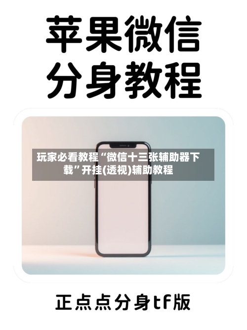 玩家必看教程“微信十三张辅助器下载”开挂(透视)辅助教程-第3张图片