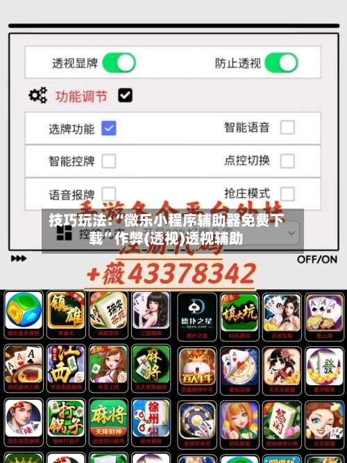 技巧玩法:“微乐小程序辅助器免费下载”作弊(透视)透视辅助-第3张图片
