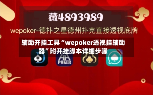 辅助开挂工具“wepoker透视挂辅助器”附开挂脚本详细步骤-第3张图片