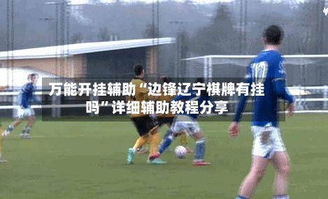 万能开挂辅助“边锋辽宁棋牌有挂吗”详细辅助教程分享-第2张图片