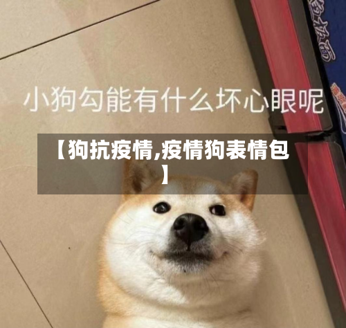 【狗抗疫情,疫情狗表情包】-第2张图片