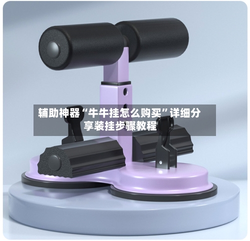 辅助神器“牛牛挂怎么购买”详细分享装挂步骤教程-第1张图片