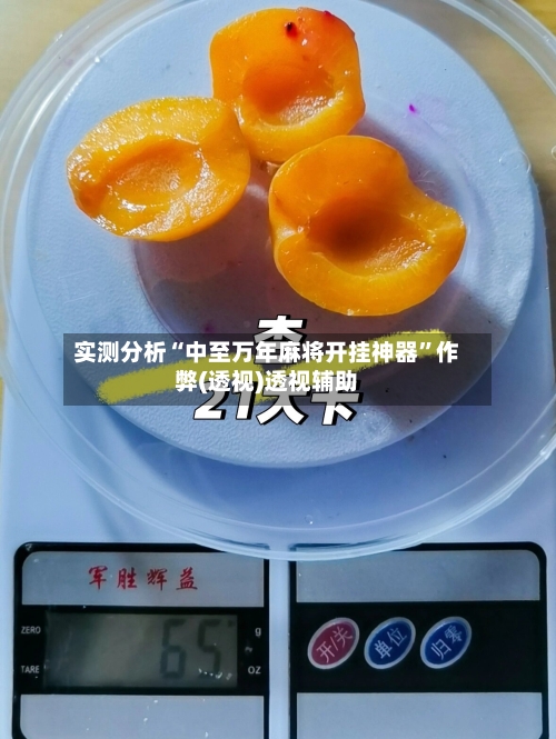 实测分析“中至万年麻将开挂神器”作弊(透视)透视辅助-第2张图片