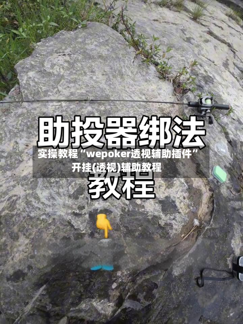 实操教程“wepoker透视辅助插件”开挂(透视)辅助教程-第1张图片