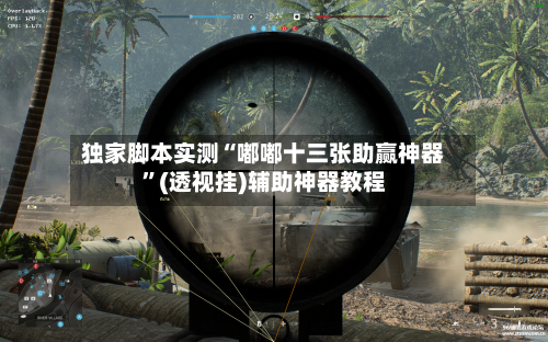 独家脚本实测“嘟嘟十三张助赢神器”(透视挂)辅助神器教程-第2张图片